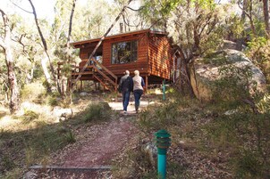 Una cabaña de madera con una escalera que lleva a una terraza, rodeada de árboles y rocas.