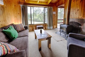 LCD TV, fireplace, DVD player