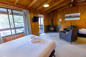 Una televisión LCD, una chimenea, un reproductor de DVD