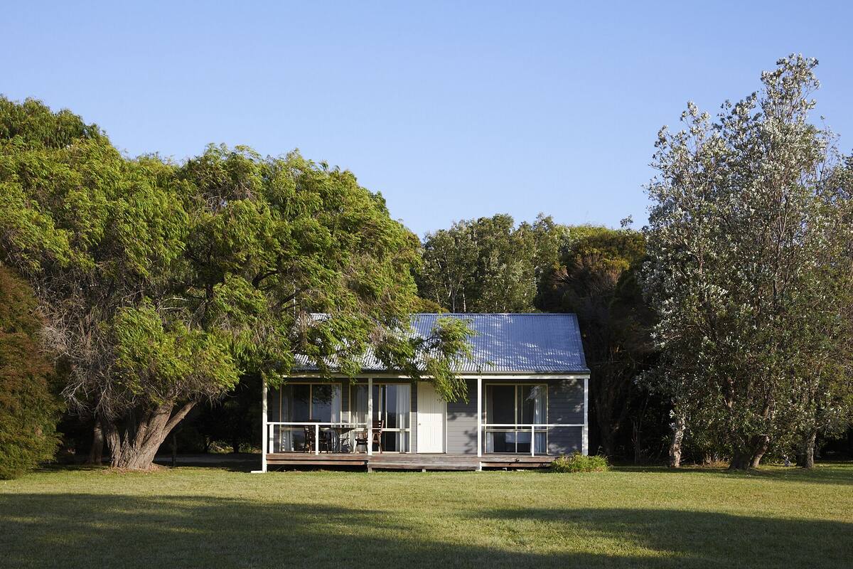 A house with a covered porch, surrounded by trees.