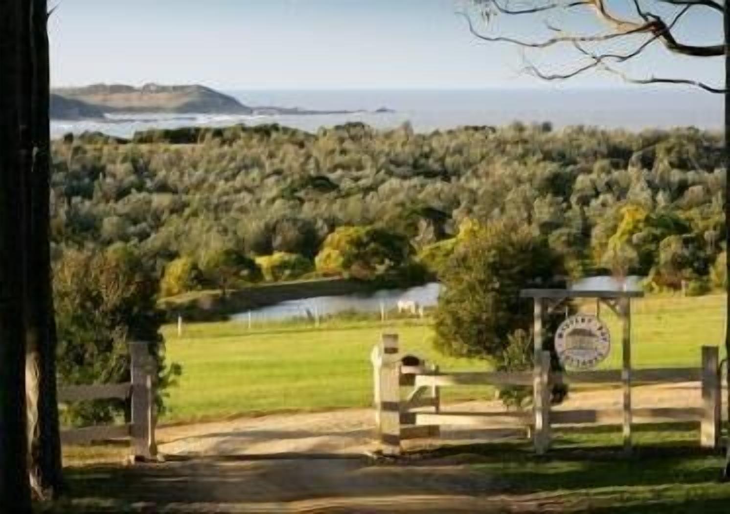 A view of a coastal landscape with a wooden gate leading to a grassy area, a pond, and a distant view of the sea.