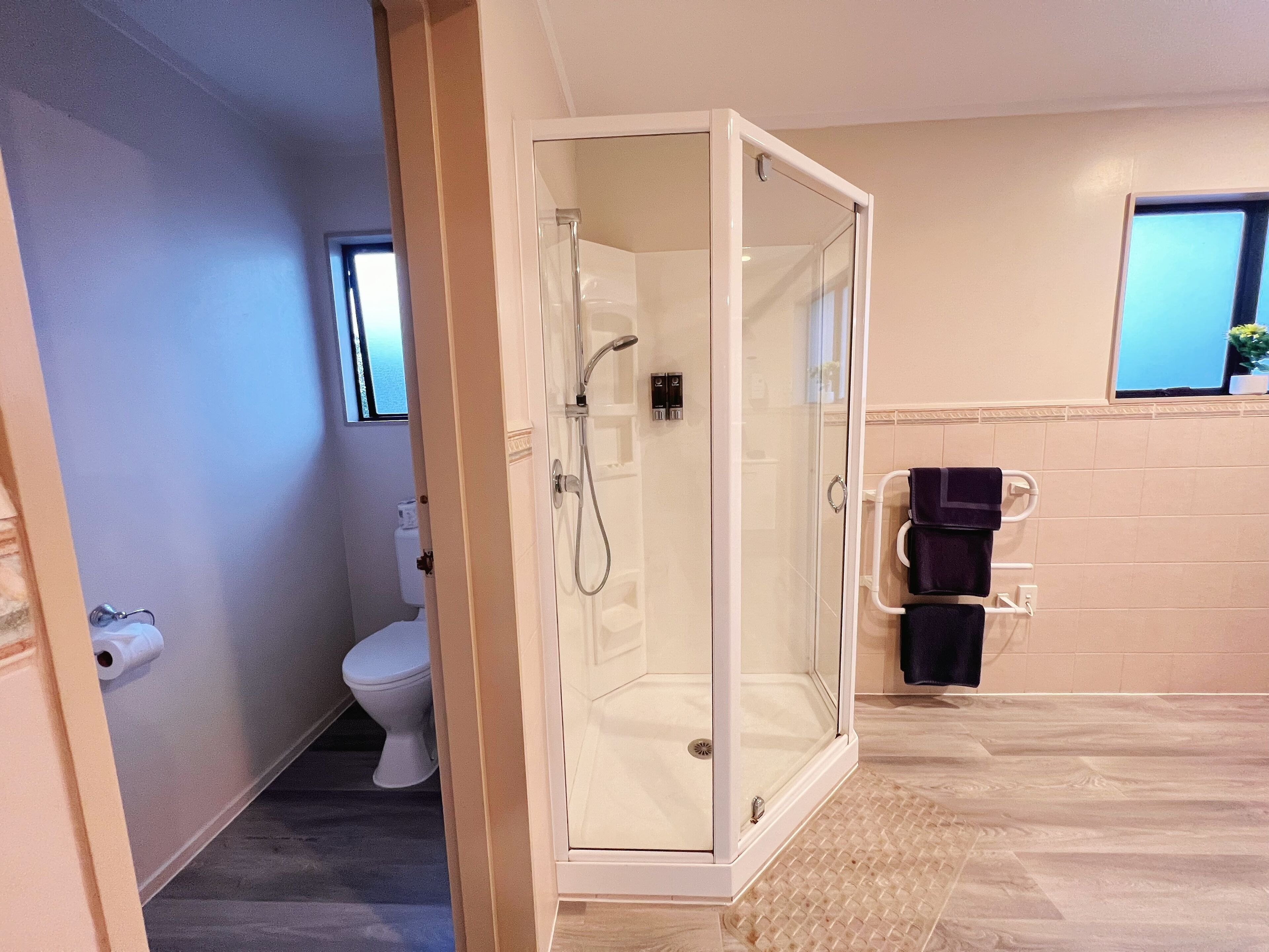 A modern bathroom with a glass-enclosed shower, a toilet, and a towel rack.