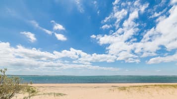 Playa en los alrededores