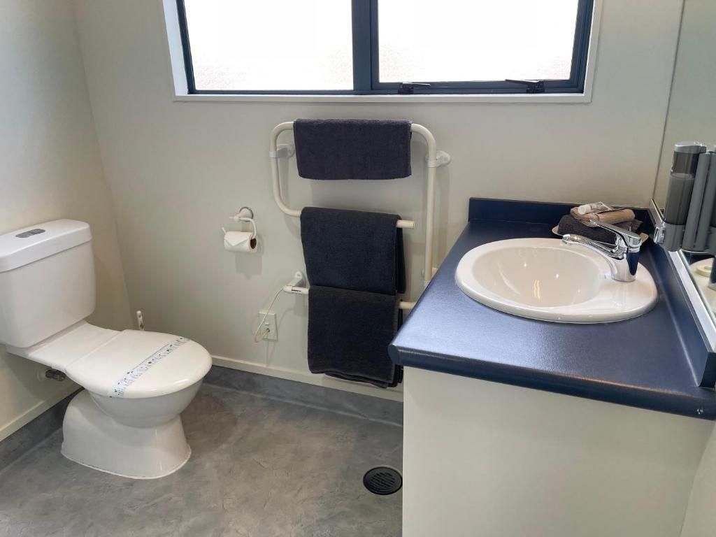 Un bany amb vàter, un lavabo, una barra de tovalloles i una finestra.