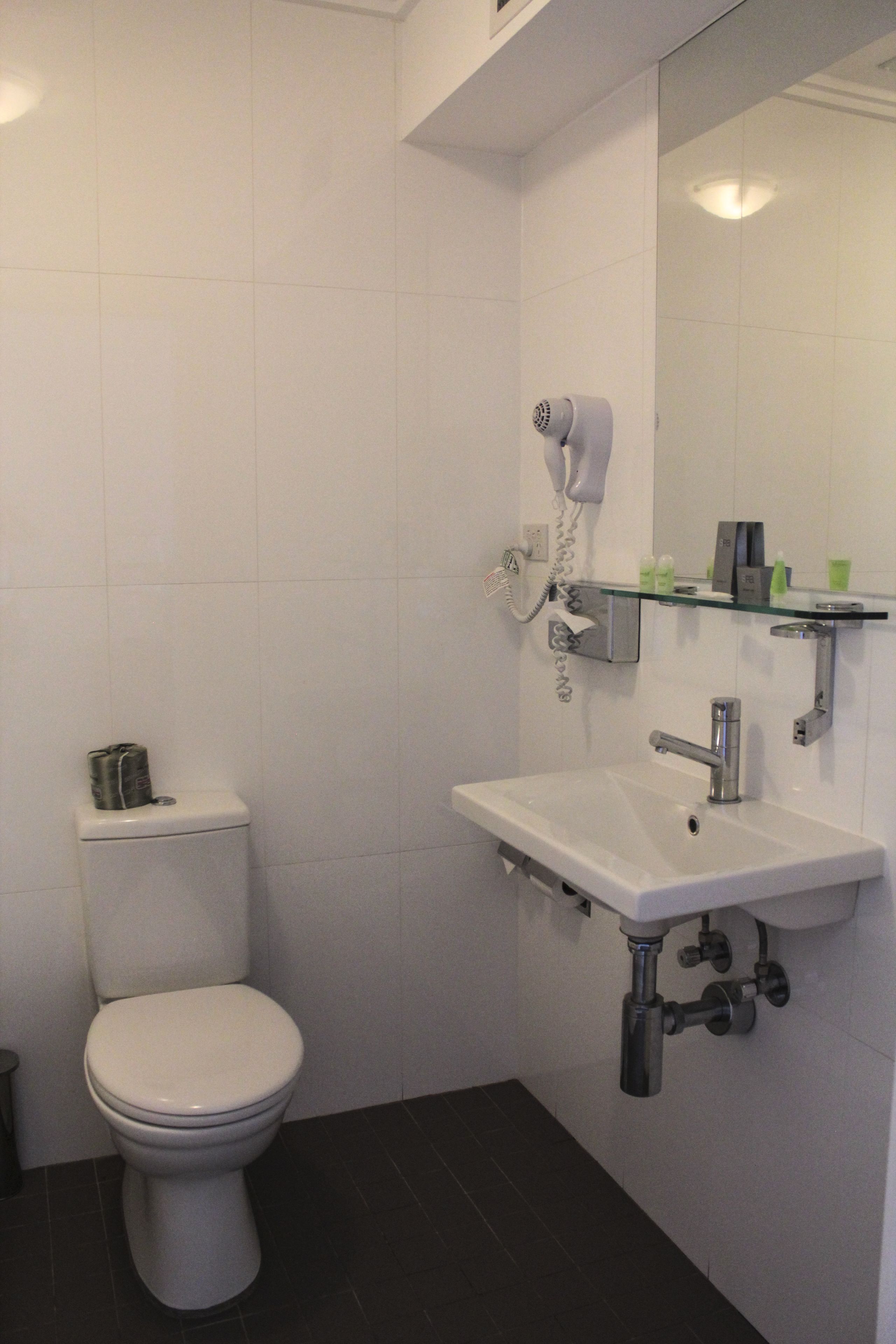 A bathroom with a toilet, a sink, a glass shelf with toiletries, and a hairdryer mounted on the wall.