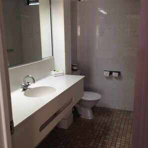 Combined shower/bathtub, free toiletries, hair dryer, towels