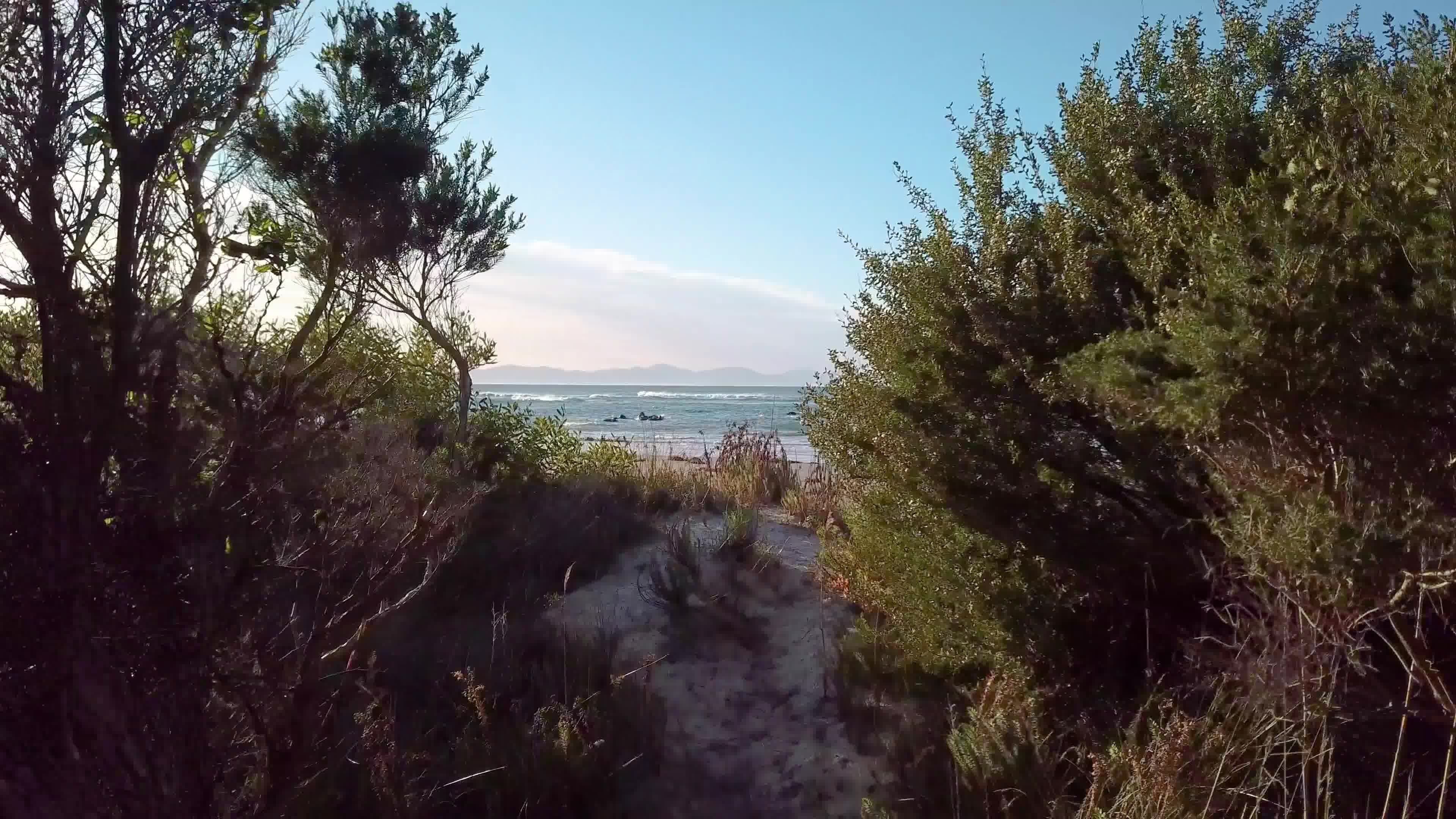 بالقرب من الشاطئ