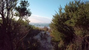 A pathway leading to a beach with dense shrubbery on either side.
