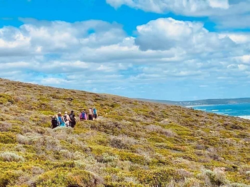 Surfpoint Resort at Prevelly by null