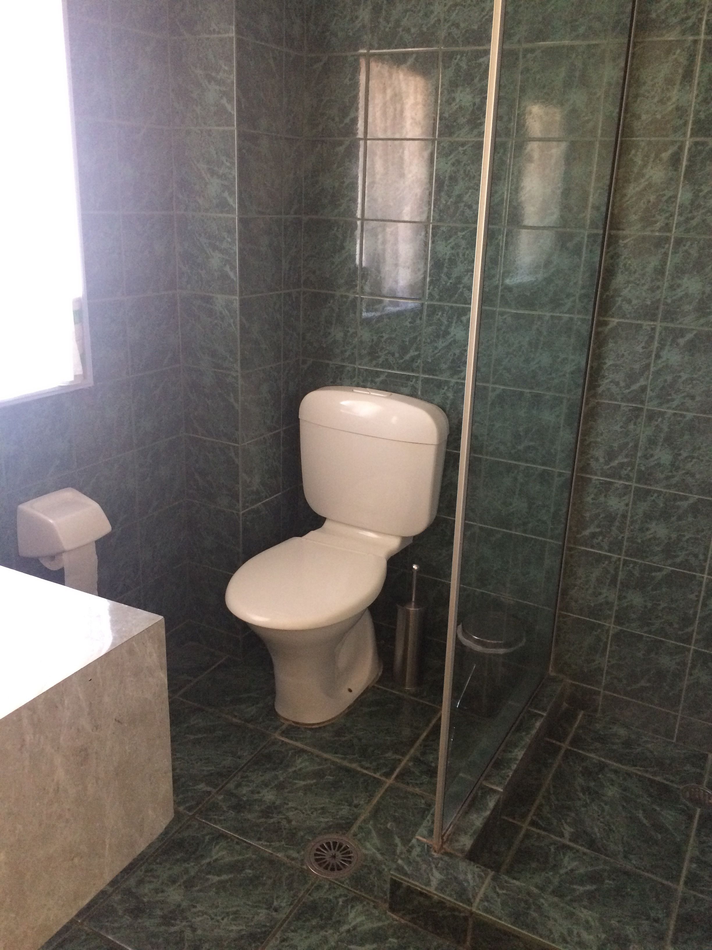 A bathroom with a toilet, a bidet, and a shower stall.