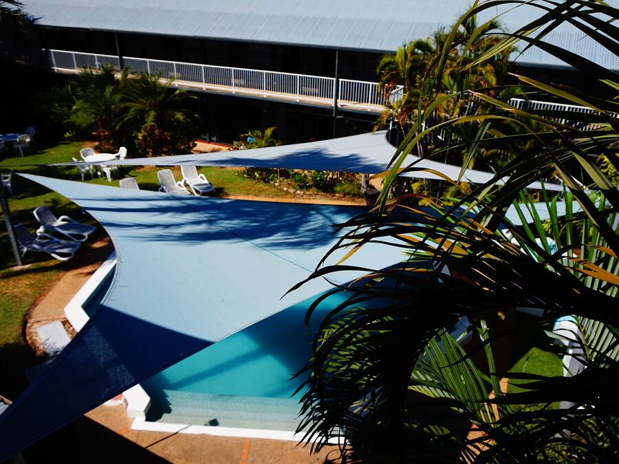 A swimming pool with lounge chairs, a palm tree, and a building in the background.