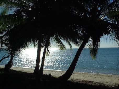 Vista desde la propiedad