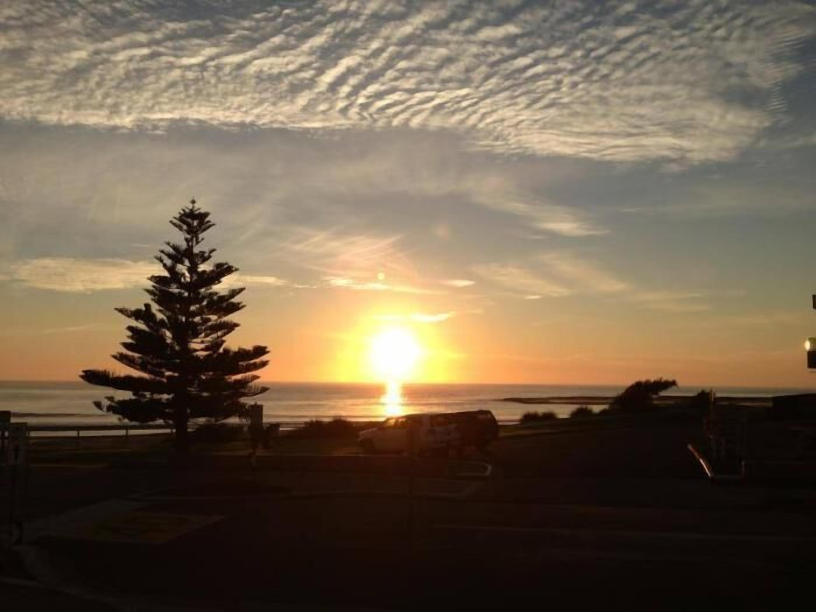 A sunset over a beach with a lone tree in the foreground.