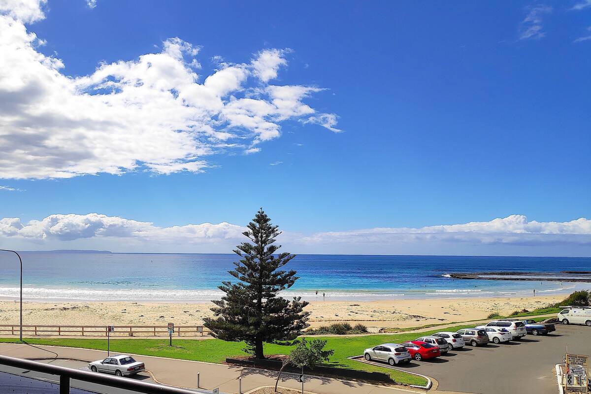 A beach view with a parking lot, a lone tree, and a clear sky.