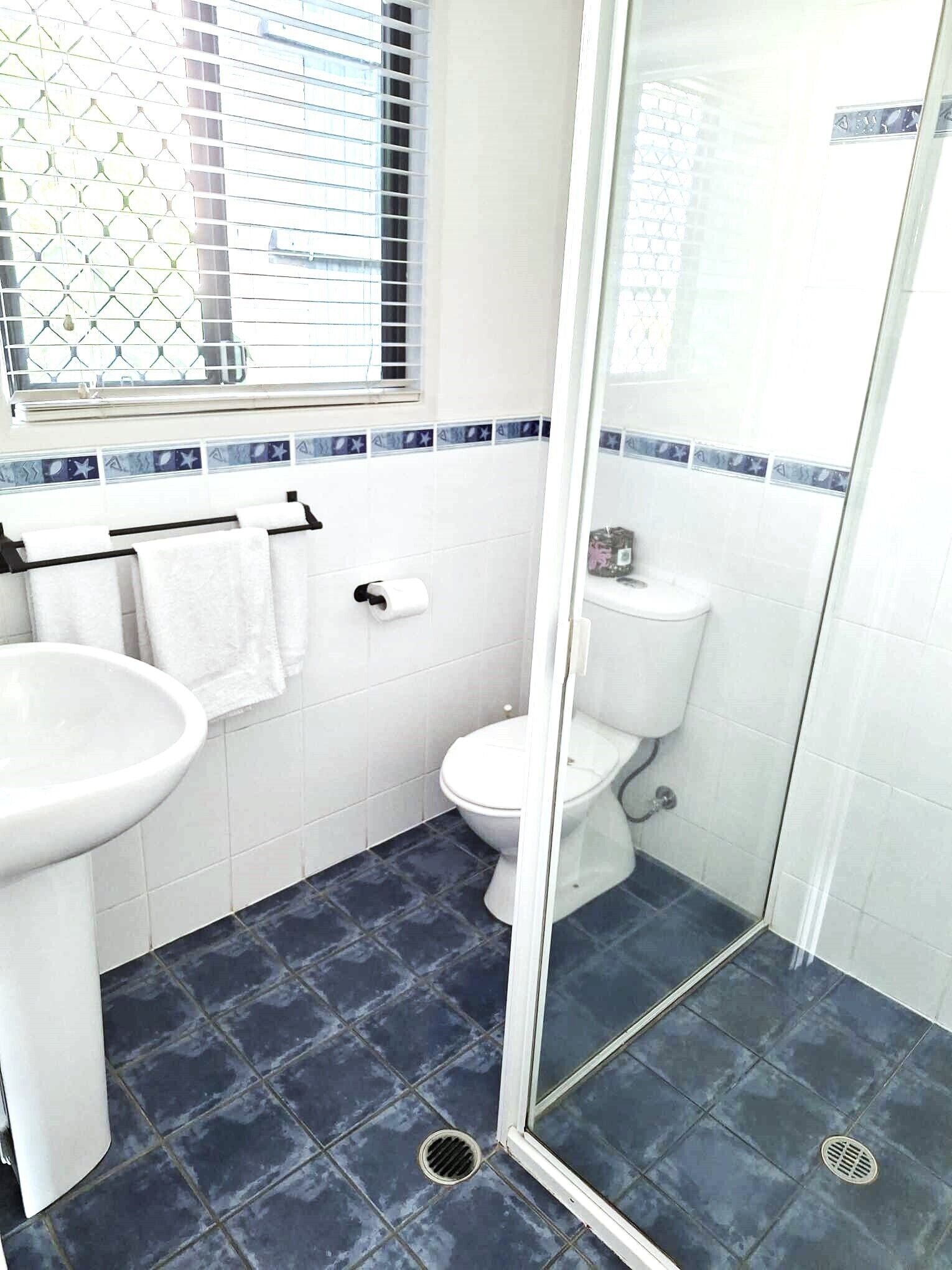 A bathroom with a white sink, a toilet, and a glass shower enclosure.