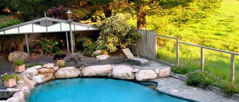 Outdoor pool, pool loungers