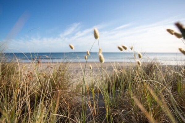 On the beach, white sand