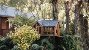 A wooden cabin with a corrugated metal roof, surrounded by dense ferns and trees. - Fox Glacier Lodge (Fox Glacier)