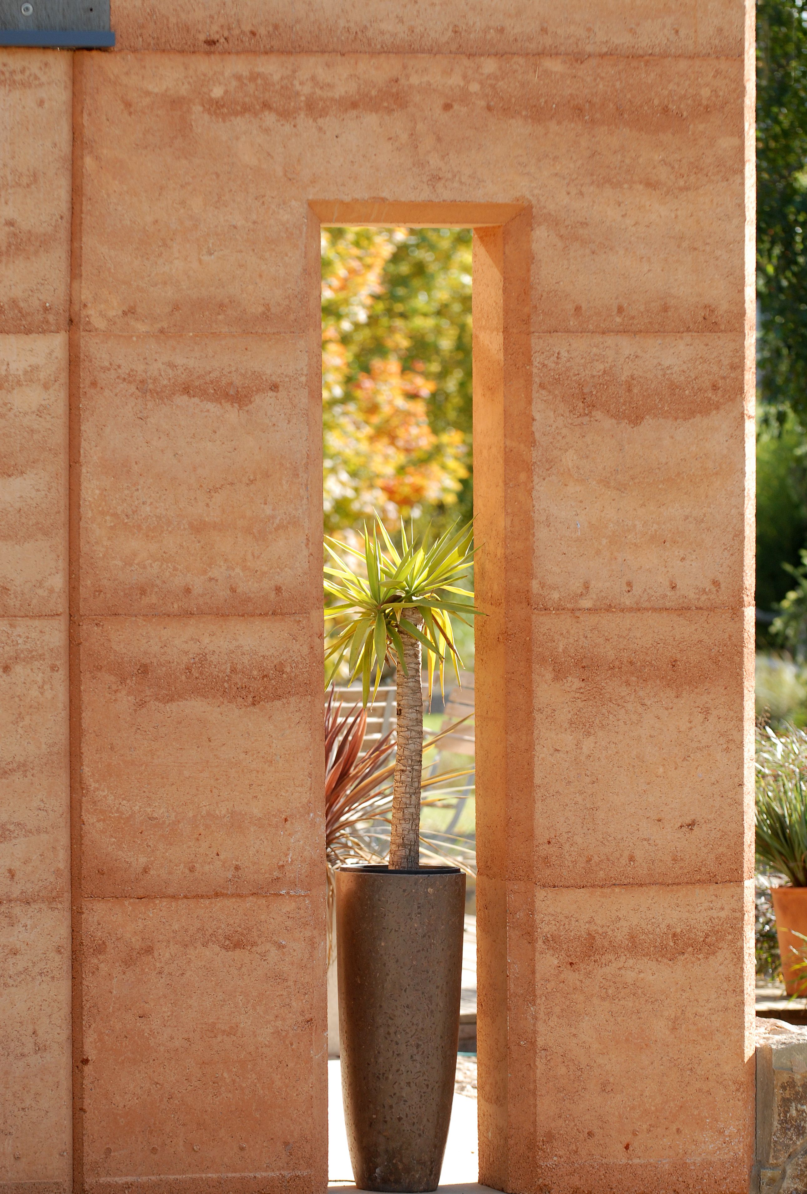 A potted plant in a doorway.