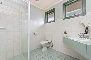 Shower, free toiletries, hair dryer, towels