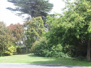 Property grounds - Melaleuca Motel (Portland)