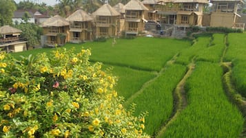 Quang cảnh nhìn từ nơi lưu trú