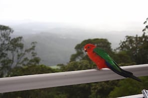 Terrace/patio - At Sunrise Cottages (Montville)