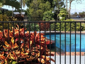 A swimming pool surrounded by a metal fence, with various plants and trees in the background.