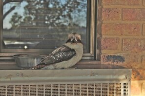 Shower, free toiletries, towels - The Vineyard Motel (Cowra)