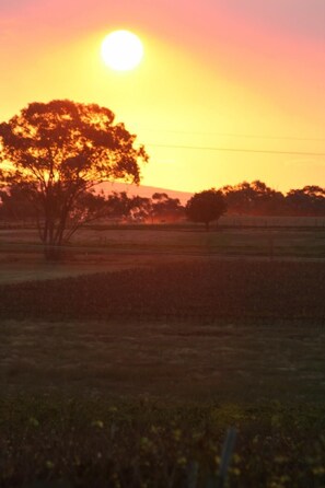 Beach - The Vineyard Motel (Cowra)