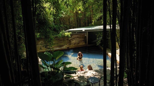 Un espace piscine agrémenté d’un mur en pierre, entouré d’une végétation dense composée de bambous et de plantes tropicales.