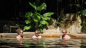Un espace piscine agrémenté d’un mur en pierre et de grandes plantes vertes.