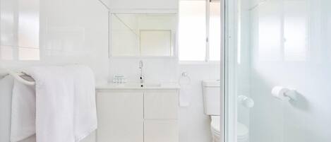 A modern bathroom with a glass shower enclosure, a white sink, and a toilet.