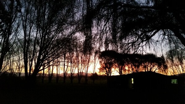 A silhouette of a tree-lined landscape with a sunset in the background. - Moruya Motel (Moruya)