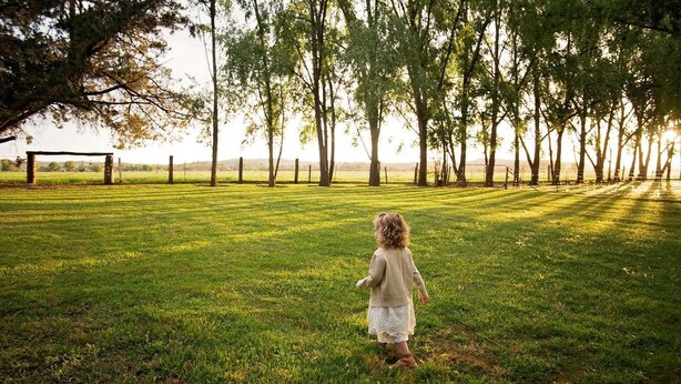 A grassy field with a wooden structure in the distance. - Moruya Motel (Moruya)