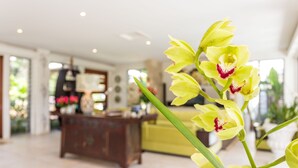 Un interior moderno con un sofá amarillo, un mueble de madera y una planta con flores amarillas.