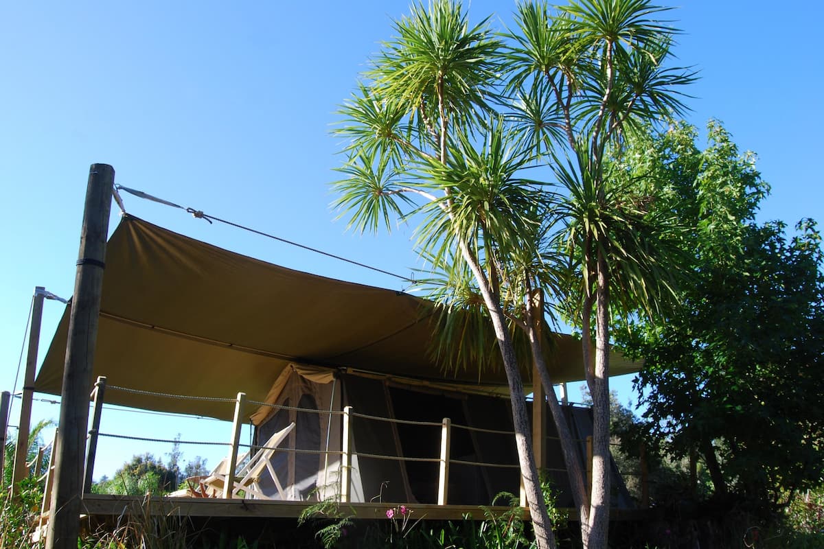 Tienda de lujo, no fumadores, baño compartido (Luxury Furnished DeckTent) | Exterior