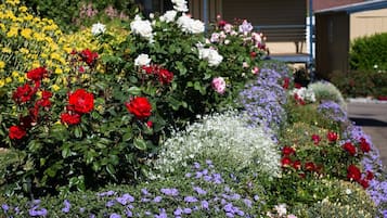 A garden with various flowers, including red, white, and purple blooms, in front of a building.