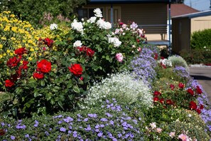 Garden - Willows Motel Goulburn (Goulburn)