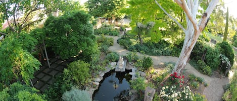Succulent Suite | Garden view