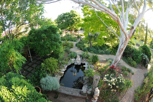 Succulent Suite | Garden view