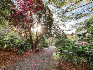 Property grounds - Woolrich Historic Garden Cottage (Olinda)