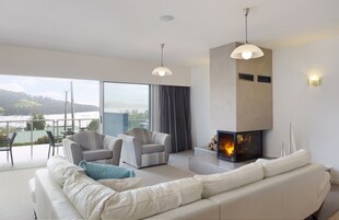 43-英寸电视（配备数码频道）