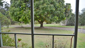 Vista desde un espacio cubierto con terraza de madera, un árbol grande y una zona ajardinada.
