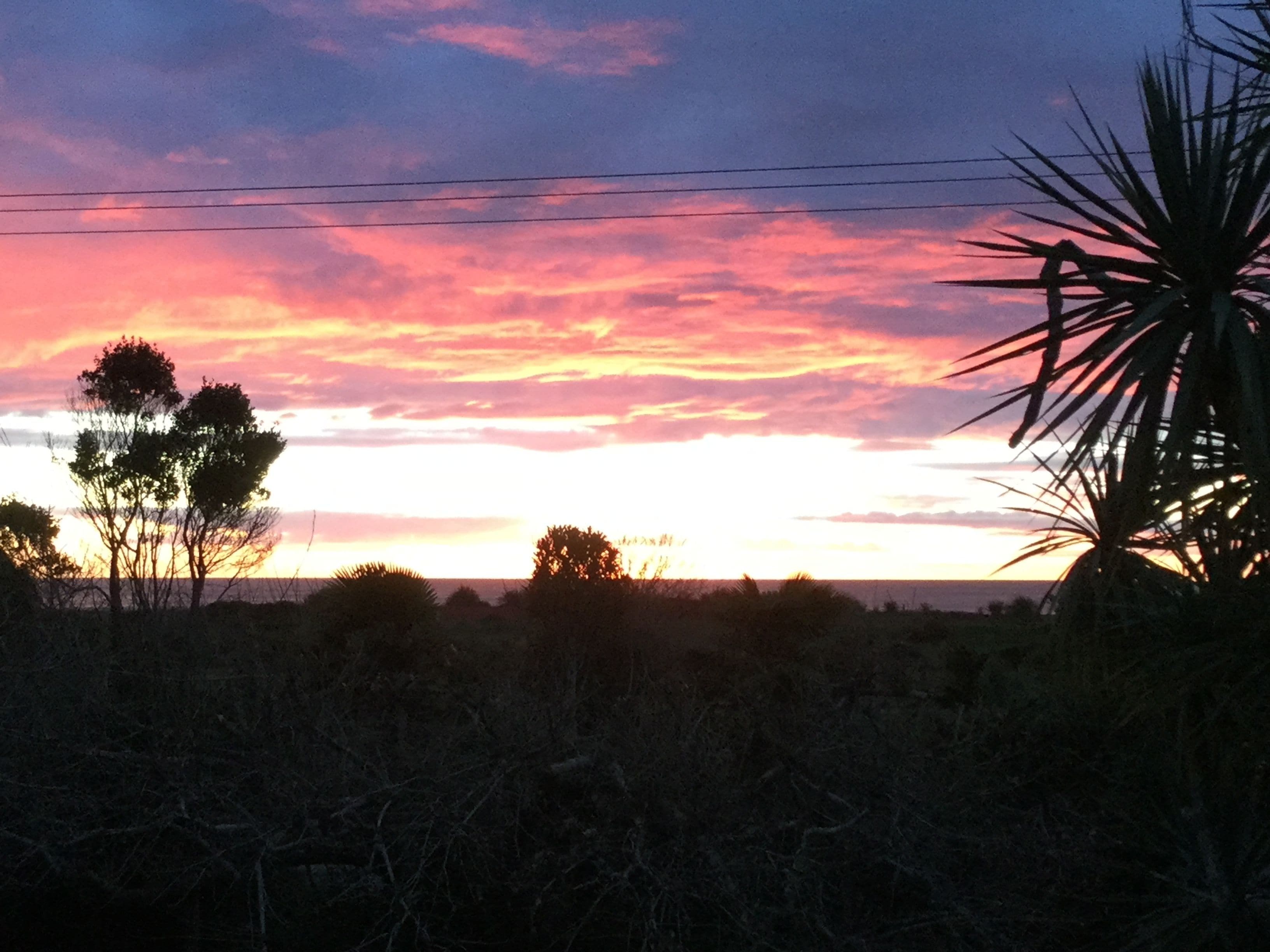 A sunset with silhouettes of trees and a palm plant.