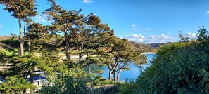 Ein friedlicher Seeblick mit Bäumen und blauem Himmel.