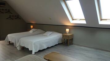 A bedroom with two beds, a bench, and a skylight.