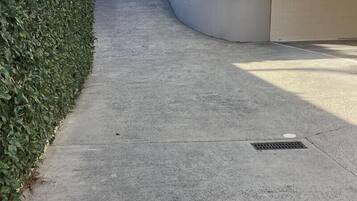 Un chemin en béton bordé d’un arbuste taillé avec soin et d’un jardinier contenant de petites plantes.
