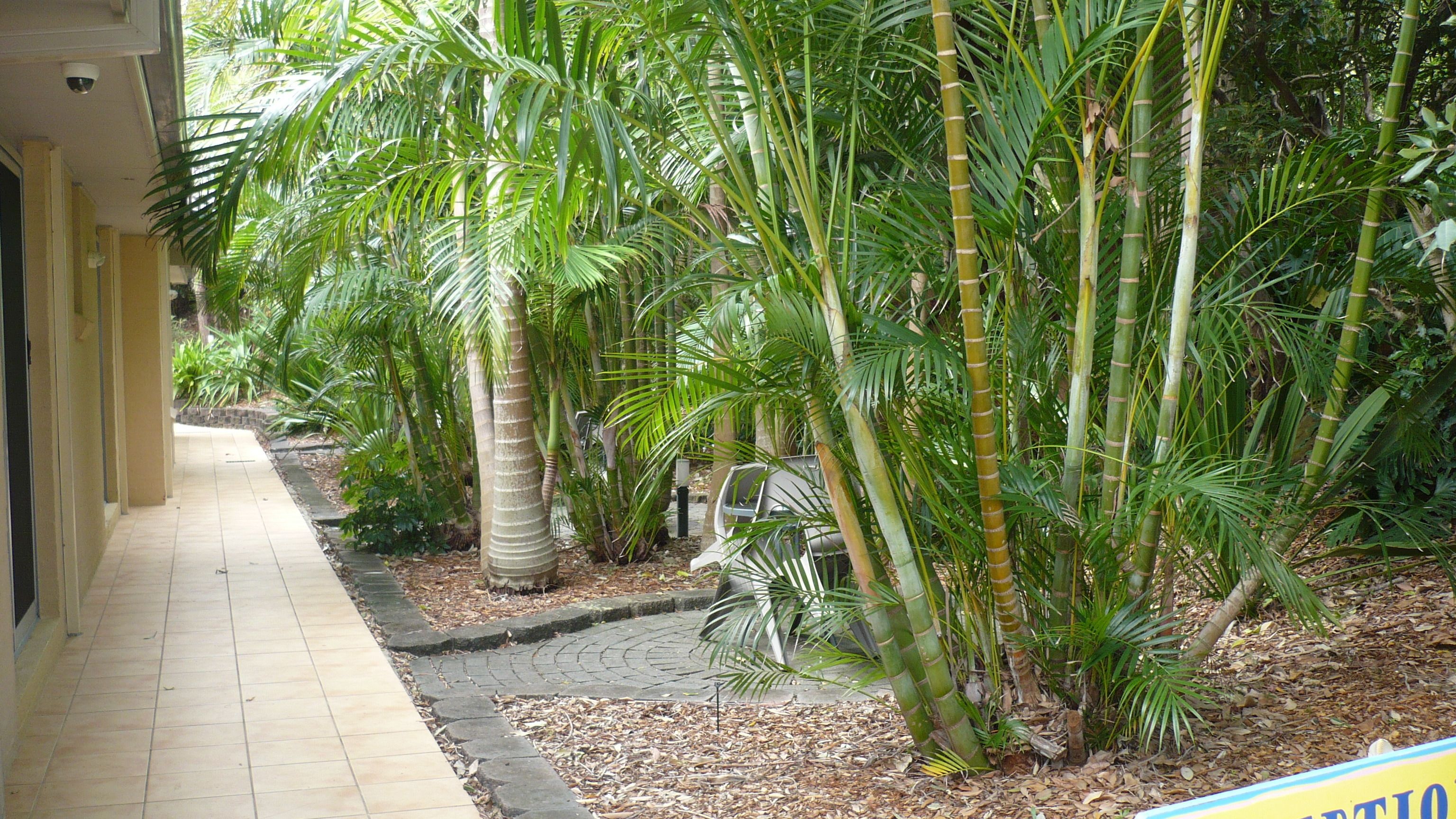 Photo - Tiarri Terrigal