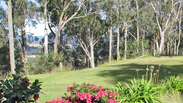 Una casa con césped, un banco y un jardín lleno de plantas y flores.